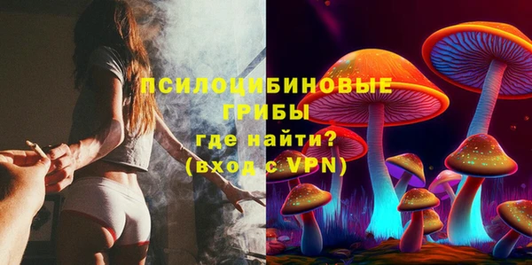 кокс Алзамай
