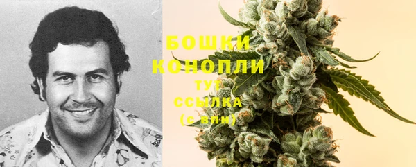 первитин Надым