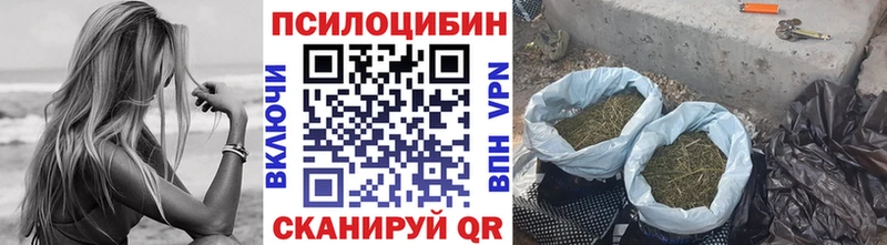 kraken онион  darknet формула  Галлюциногенные грибы Psilocybine cubensis  Чаплыгин 